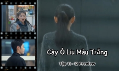 Cây Ô Liu Màu Trắng tập 11-12 Preview: Lý Toản – Tống Nhiễm bất ổn, mất liên lạc sau vụ nổ 