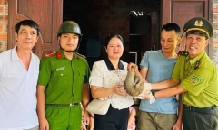 Phát hiện con vật quý cuộn tròn như quả bóng, người dân giao nộp cho công an