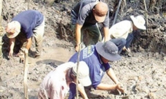 Nhật ký săn vàng: Giấc mộng vàng ròng ở cánh đồng Óc Eo, người khôn tìm cổ vật, kẻ dại mắc mắc 