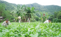 Bộ Công an đề xuất công an xã quản lý người bị phạt tù cải tạo không giam giữ