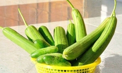 Mua mướp nên chọn quả thẳng hay cong?
