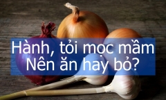 Hành, tỏi mọc mầm: Nên ăn hay bỏ?