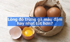 Lòng đỏ trứng gà màu đậm hay nhạt tốt hơn? Sự thật bất ngờ