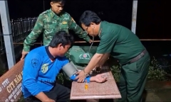 Tin tức thời sự hôm nay (6/9): Tàu cá bị sóng đánh chìm, 4 thuyền viên được cứu
