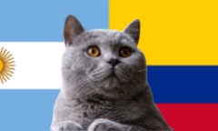  Nhận định soi kèo trận Colombia vs Argentina, 3h30 ngày 11/9: Mèo tiên tri biết kết quả cuối cùng