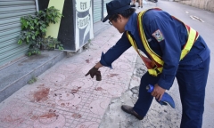 Con chó Alabai cắn du khách nước ngoài ở Nha Trang bị tiêu hủy
