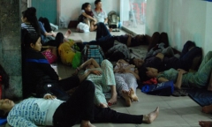 Cảnh báo nạn vé 