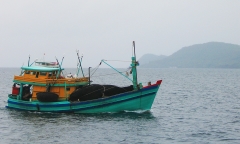 Tìm tung tích người đàn ông mất tích khi chèo ghe đi câu mực