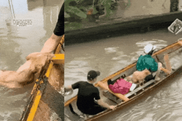 Vỡ òa cảm xúc 2 chú chó được giải cứu trong cơn lũ dữ ở Thừa Thiên-Huế
