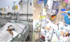 Men gan tăng cao hơn 100 lần so với bình thường do mắc sốt xuất huyết