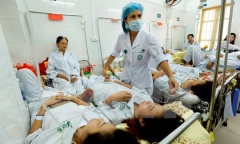 Đỉnh dịch sốt xuất huyết có thể xuất hiện trong tháng 10 và 11