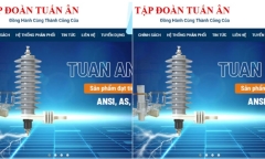 Sơ phác Tập đoàn Tuấn Ân có Chủ tịch HĐQT bị khởi tố: 