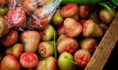 Loại quả