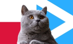 Nhận định soi kèo trận Scotland vs Ba Lan, Nations League 1h45 ngày 6/9: Mèo tiên tri bảo thủ?