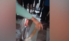 Nổi da gà cảnh người đàn ông Ấn Độ dùng tay không bắt rắn cực độc