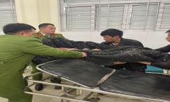 Người phụ nữ mang thai 8 tháng bị đá lăn trúng đầu và bụng trong lúc đi lấy củi