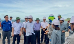 Đà Nẵng sau bão số 13 Kalmaegi: Loạt cây ven biển bật gốc, đường phố ngập rác