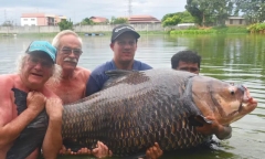 Cần thủ lập kỷ lục khi câu được cá chép khổng lồ nặng tới 114 kg