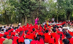Vì sao Công ty TNHH Điều hành Du lịch Viễn Anh bị phạt 380 triệu đồng?