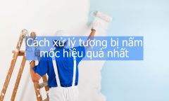 Tường bị nấm mốc - Nỗi ám ảnh của mọi gia đình và cách xử lý hiệu quả nhất