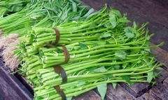Người bệnh thận có nên ăn dưa chuột?