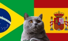 Nhận định soi kèo trận nữ Brazil- Tây Ban Nha Olympic Paris, 22h ngày 31/7: Mèo “tiên đoán” như thần