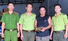Một cá thể rùa núi vàng quý hiếm nặng 