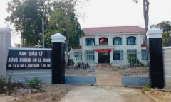 Gia Lai: Nhân viên bảo vệ rừng bị doạ giết nếu không cho phát cây