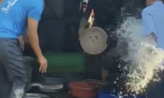 Vụ 