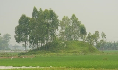 Kinh nghiệm chọn hướng nhà chung cư mà bạn cần biết