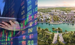 Vi phạm công bố thông tin, công ty con của Tập đoàn Capital House bị xử phạt