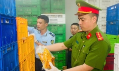 Phát hiện 20 tấn gà ủ muối, nội tạng 