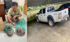 Tạm giữ người đàn ông vận chuyển 2 cá thể động vật quý hiếm đi bán kiếm lời 