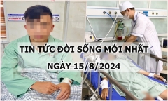 Tin tức đời sống ngày 15/8/2024: Sốc phản vệ sau khi bị ong bắp cày đốt