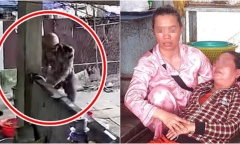 Xác minh vụ người phụ nữ lớn tuổi bị thanh niên lạ mặt đánh ngất xỉu ở Khánh Hòa