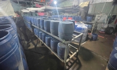 Cận cảnh phát hiện cơ sở sản xuất giá đỗ bằng chất kích thích tăng trưởng