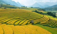 Vẻ đẹp quyến rũ miền sơn cước