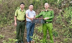 Phát hiện con vật mắt to tròn ngơ ngác vào nhà, người dân báo ngay cho công an