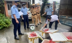 Phú Thọ: Tiêu hủy 112kg nội tạng động vật bốc mùi hôi thối, không rõ nguồn gốc