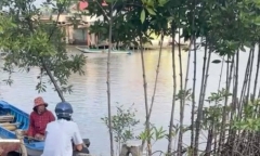 Xuồng máy đâm nhau trên sông, bé 3 tuổi ở Cà Mau rơi xuống nước mất tích