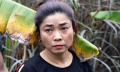 Danh tính 