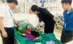 8 người bị ngộ độc sau khi ăn nấm lạ hái tại nương ngô