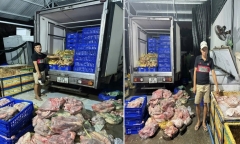 Khởi tố 3 người dùng thịt heo bệnh,  hôi thối làm giò chả bẩn rồi bán cho quán ăn