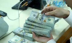 Tỷ giá USD mới nhất hôm nay 6/5:  Đồng USD thế giới bật tăng