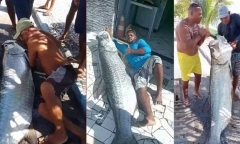 Bắt được “quái vật sông nước” dài gần 2m, nặng 120kg, ngư dân vỡ òa