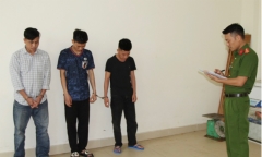 Triệt phá đường dây trộm chó chuyên nghiệp ở Nghệ An