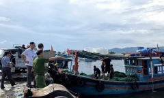 Đà Nẵng sau bão số 13 Kalmaegi: Loạt cây ven biển bật gốc, đường phố ngập rác