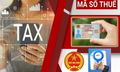 Đề xuất thành lập khu kinh tế đặc biệt, thu hút nhà đầu tư chiến lược 