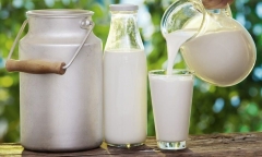 Bật mí mẹo hay giúp bảo quản sữa không bị hỏng giữa thời tiết nóng nực