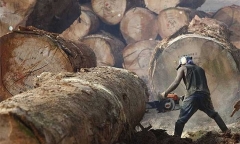 TOP 5 công việc nguy hiểm nhưng vẫn thu hút nhiều ứng viên